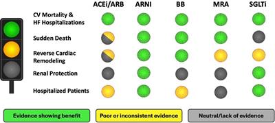 Looking for the ideal medication for heart failure with reduced ejection fraction: a narrative review